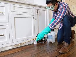 Best Residential Pest Control  in Pierre Part, LA