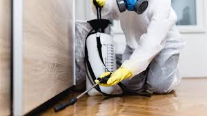 Best Termite Inspection and Treatment  in Pierre Part, LA